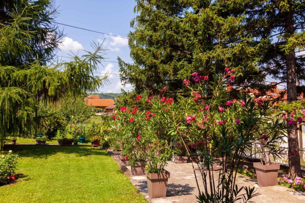 Studio 2 Golubac Luaran gambar