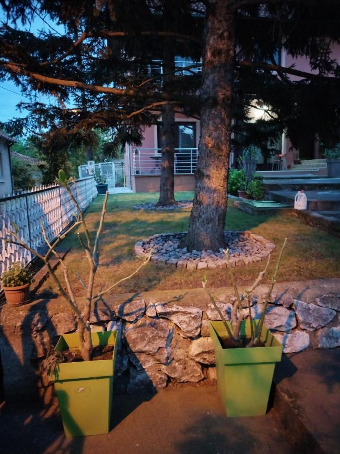 Studio 2 Golubac Luaran gambar